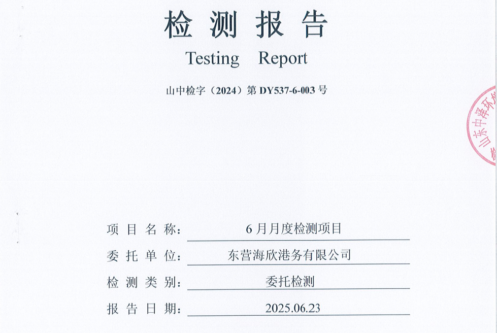 东营海欣港务有限公司-6月份环境检测报告（17-20有组织）