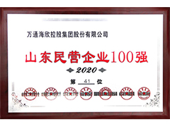 山东民营企业100强