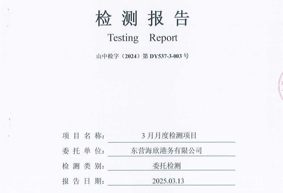 东营海欣港务有限公司-3月份环境检测报告（17-20有组织）