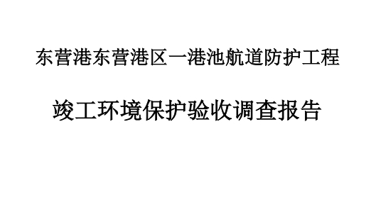 东营港东营港区一港池航道防护工程竣工环境保护验收调查报告